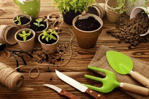 atelier de jardinage dans vos bureaux